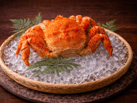 [Dinner] Extra Large Hairy Crab Course: 45,000 yen