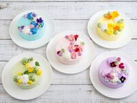 【窓際確約】母の日ランチコース～Merci Maman～