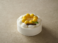 12cm / Mango Shortcake