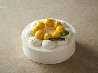 15cm / Mango Shortcake
