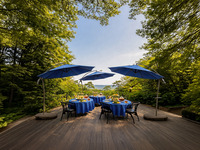 森の特等席～11時回～