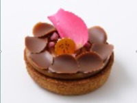 Rose des Sables