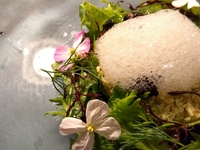 シェフのおまかせ料理コース（お昼の部）　※４月１日より価格改定となります。