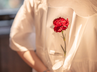 【母の日】カーネーションの花束 < 8本 > ＋ メッセージプレート