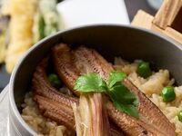 (5.6月)穴子の釜飯コース