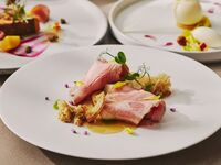 メインが選べるカジュアルディナー全4品　-DINNER SHORT-