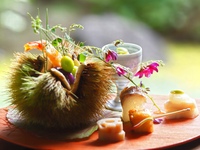 京都懷石料理 13道（時令精選食材）