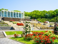 Suma Rikyu "Royal Rose Garden" Guided Tour with Lunch