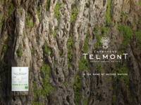 [Guitar performance only on Thursdays and Fridays♬] Telmont Champagne Brut by the glass × Chinese Afternoon Tea