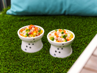 <Option> DOG DELI BOWL