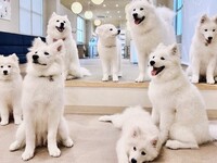 Golden Week Regular Ticket (50 minutes)