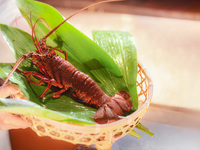 SPECIAL course 22,000 (starts April 24th)