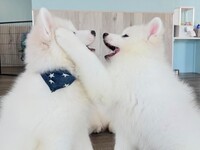 ≪Golden Week Period≫ Regular Ticket (50 minutes)