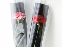 ★Mother's Day★ [5/1~5/10] Mediterranean Buffet (Adults) + Yokohama Beer