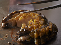 【 桜 】×《オンライン予約限定・春》ステーキ25%増量フェア