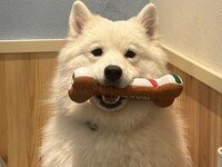 ≪ゴールデンウイーク期間≫通常チケット（50分）