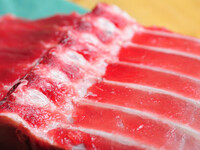 Premium Tuna Tasting Course 4,480 yen