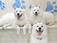 ≪Golden Week Period≫ Regular Ticket (50 minutes)