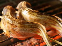 5月【料理のみ】ハタハタ焼きや比内つくねの蓮根挟み揚げ、桃豚バラトマト巻きなど全12品5000(税込)