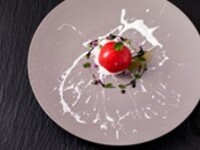 Fan Dalcuore x Shiraiya The Restaurant Accommodation Plan (1 room, 1 person) [Limited event on Wednesday, June 24th]