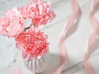 [Mother's Day Lunch Plan 2026] Half-course lunch (fish) + complimentary welcome drink