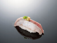 sardine
