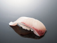 Yellowtail