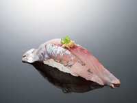 horse mackerel