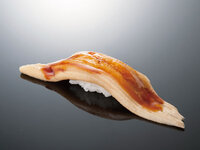conger eel