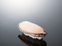 abalone