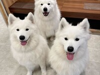 [11:00 AM slot only] Birthday event for the three siblings