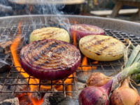 【季節限定】有機野菜の収穫体験オプション