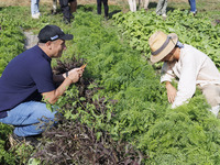 New Farm Visit & Dinner Package