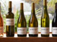 Wine Maker Dinner with Mt Beautiful Wines