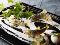 【6月13日～22日限定 会席】鮎と夏野菜の特別会席コース