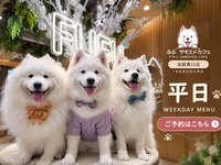 【事前予約/平日コース】店舗利用チケット（1時間）＋ドリンク飲み放題
