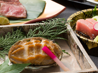 Kiwami <Table seats> [EN-CN]