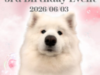 [Limited to 11:00 AM and 7:00 PM slots] Watage Birthday Event
