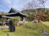 Half-course lunch with 4 dishes, including a ticket to Kodaiji Temple