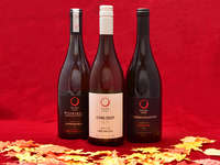 【Omi Beef Gastronomic Experience】Osawa Wines Pairing Course【Standard】