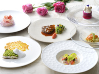 【ディナー】Seasonal Course本格イタリア料理フルコース全6品+乾杯グラススパークリングワイン1杯付き