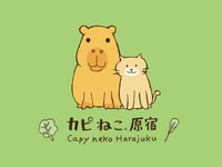 カピバラとねこのふれあい<50分>（カピパラおやつ1つ付き）