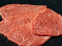 【2時間飲み放題】 正肉 “うしごろ”コース