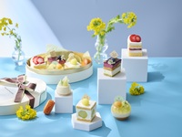 Sheraton Sweets Box [June Chiba x Melon Sweets]