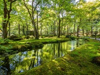 [Option]Shozan Garden Ticket
