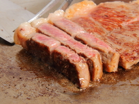 【テーブル席 限定メニュー】美食コース