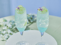 ＜土日祝・スペシャルドリンク付き＞THE NATIONAL GALLERY LONDON AFTERNOON TEA -Monet-　マリアージュフレール1杯＋その他ドリンクお替り自由