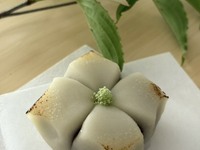 七月の菓席（五菓五茶）