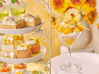 ＜平日・スペシャルデザート付き＞THE NATIONAL GALLERY LONDON AFTERNOON TEA -Van Gogh-　マリアージュフレール1杯＋その他ドリンクお替り自由