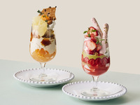 [A luxurious parfait for adults] A café-only plan where you can enjoy popular seasonal parfaits and pairing drinks in Minato Mirai!